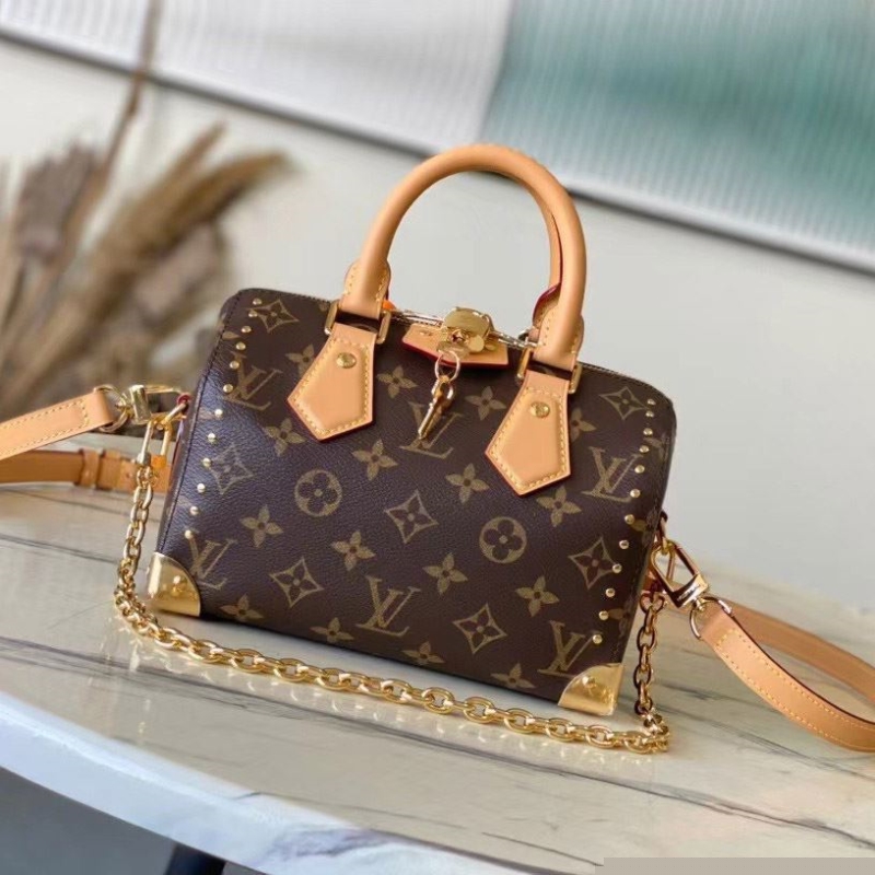 LV Speedy Bags